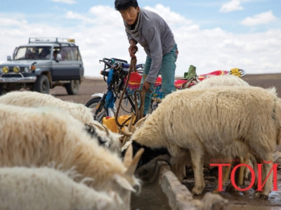  2050 онд мах нүдний гэм болно