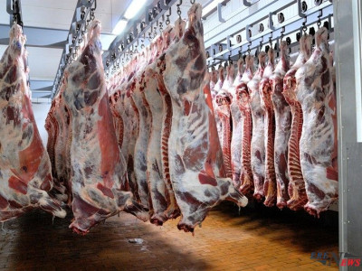Махны экспорт нэмэгдэх нь нийслэлчүүдийн эмзэг цэгийг хатгана