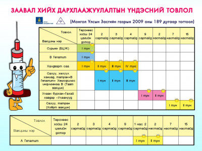 Заавал хийх дархлаажуулалтын үндэсний товлол