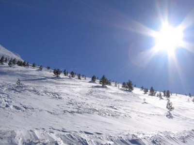 Улаанбаатарт цас орно