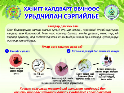 Хачигт халдварт өвчнөөс урьдчилан сэргийлье!!!