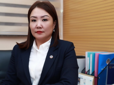Ц.Цэцэгдэлгэрэх: Есөн албан тушаалтныг үндэслэлгүйгээр хөрөнгөжсөн хэмээн шалгаж байна