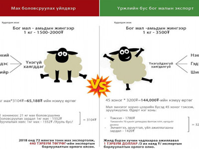 “Өлөн” цагаан оготнын өчил