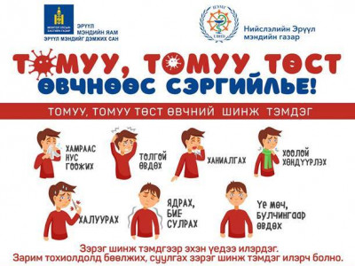 Томуу, томуу төст өвчнөөс сэргийлье