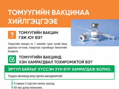 Улирлын томуугийн эсрэг вакцинаар цэцэрлэгийн 87.130 хүүхдийг дархлаажуулна