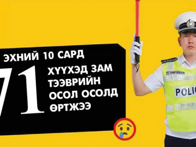 Авто замын ослоор 53 бяцхан зүрх зогслоо