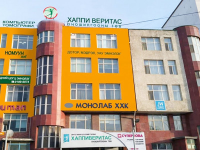 “Элэг бүтэн Монгол”-ын луйвар буюу лабораториудын мөнгө угаалт-IV