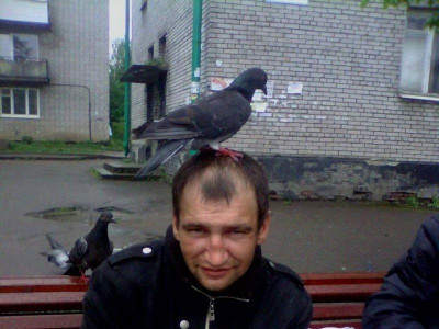 Олон нийтийн сүлжээ сайтын гамшигууд /18+/