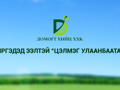 2020 онд Иргэдэд ээлтэй-“ Цэлмэг Улаанбаатар” төсөл хэрэгжинэ