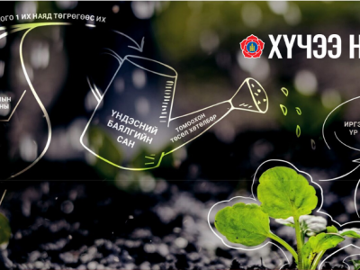 МАН:Үндсэн хуулийн заалтаа хэрэгжүүлж, Үндэсний баялгийн санг арвижуулна