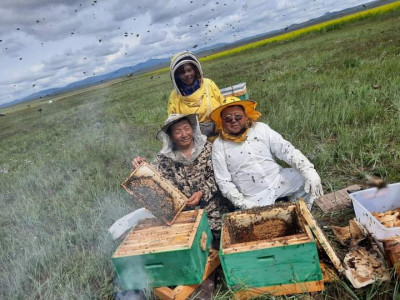 Ерөнхийлөгч асан Ц.Элбэгдорж зөгийн аж ахуй сонирхон явна