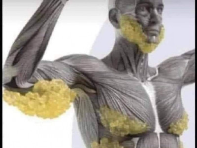 Таргалалт ямар өвчин үүсгэх эрсдэлтэй вэ?