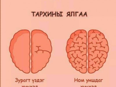 Тархи гэмтээдэг 10 зуршил