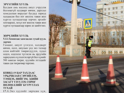 Хатуу хөл хорионоос хулгайгаар гарах нь гэмт хэрэг