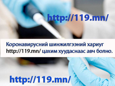 “Ковид-19” халдварын зорилтот болон сайн дурын шинжилгээнд 34.402 хүн хамрагдаад байна