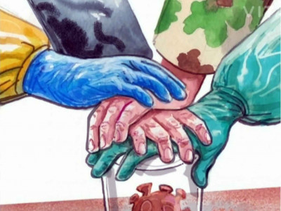 Цар тахлын эсрэг түр хуулийн хугацаа дууслаа, одоо яах вэ?
