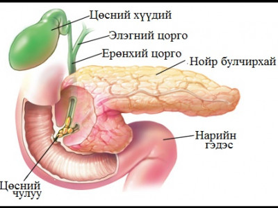 Би цөсгүй