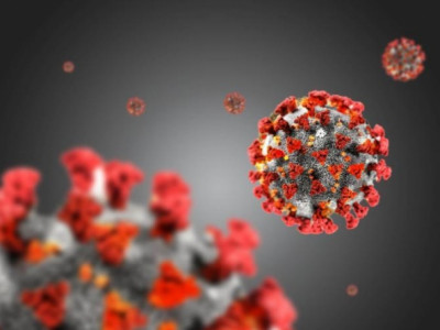 Ханиад, COVID-19 хоёрыг хэрхэн ялгах вэ?