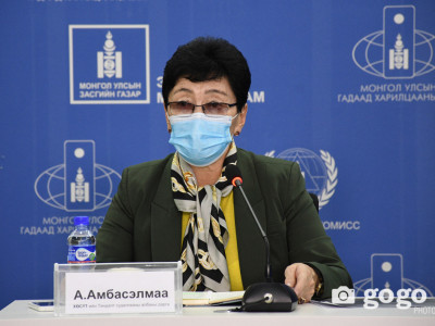 Шинээр 49 тохиолдол батлагдлаа