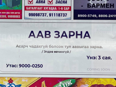 Аавыгаа гурван саяар зарна гэнэ