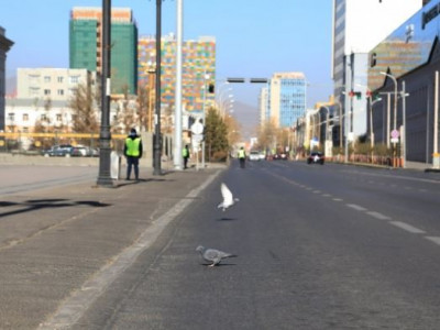 COVID-19 ба бүх нийтийн өмнө тулгарсан шинэ сорилтууд 