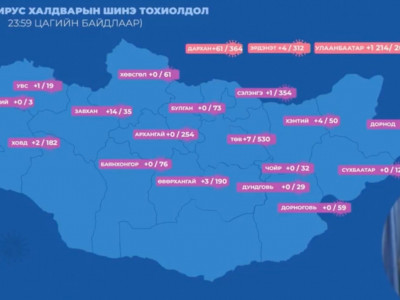 Сүүлийн хоногт Улаанбаатарт 1,214, орон нутагт 97 тохиолдол бүртгэгдэж, хоёр хүн нас баржээ