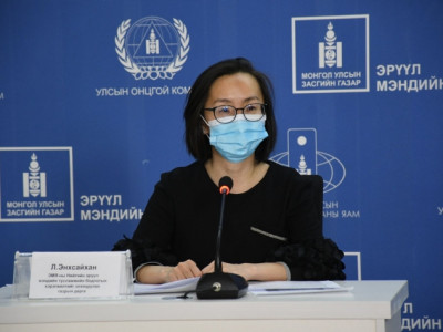 Л.Энхсайхан: Д аминдэмийг илүүдлээр хэрэглэвэл хордлогонд хүргэх эрсдэлтэй
