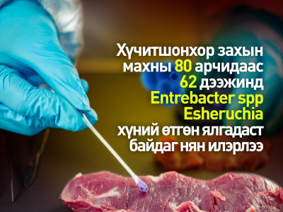 “Хүчит шонхор” захад борлуулж буй махнаас авсан шинжилгээгээр хүний ялгадаст байдаг нян илэрчээ