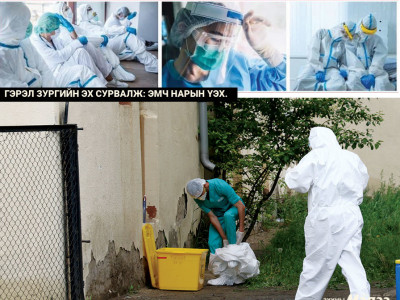 Тэд тангараг өргөсөн тулдаа л тэсч байна