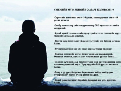 Экспертүүд: Монголд сэтгэцийн эмгэгийг оношилж, эмчилж чаддаггүй