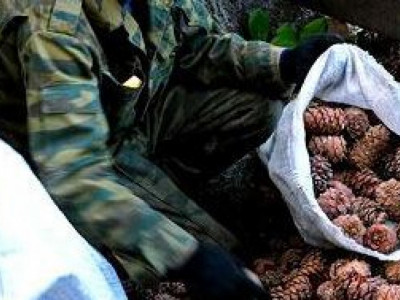 Самрын бизнесийн зохицуулалтыг нарийвчилъя
