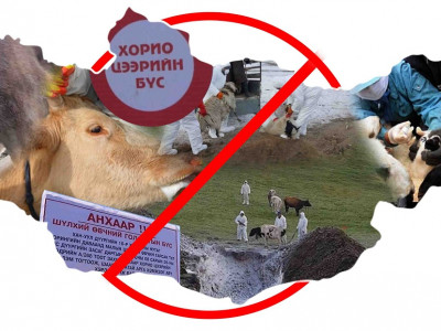 SOS! Малын халдварт өвчин гараагүй аймаг үлдсэнгүй