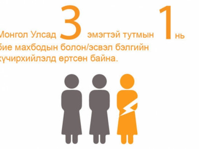 Зан үйлд нөлөөлөх албадан сургалтын санхүүжилтийг нэмэгдүүлье