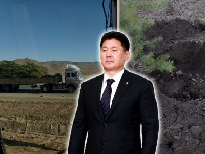 ОЙН АНГИЙНХАН МОДНЫ ХУЛГАЙЧИДТАЙ ГАР БАРИЛЦАН, ХАЛААС НЭГТГЭЖ, УУЛЫН МОДЫГ ЗӨӨЖ БАЙНА, ЕРӨНХИЙЛӨГЧ ӨӨ