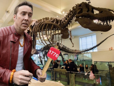 Николас Кейж Монголд буцаасан үлэг гүрвэлийн мөнгөө хайжээ