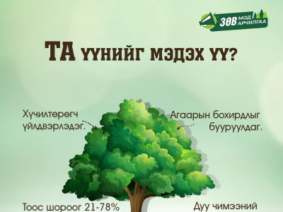 “Ногоон дуу хоолой” нэг сарын аян эхэллээ