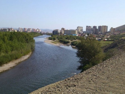 Нохой дайрсны улмаас 4 настай хүүхэд голд унаж энджээ