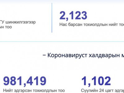 Улаанбаатарт 190, орон нутагт 101 тохиолдол батлагдав