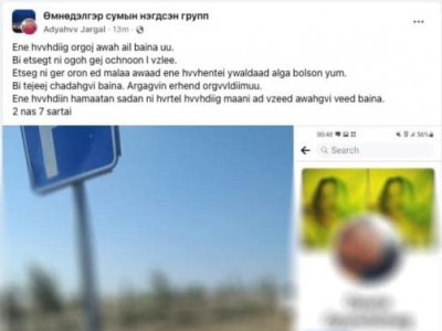 Хүүхдээ өргүүлнэ гэсэн зарыг цагдаагийн байгууллагаас шалгаж байна