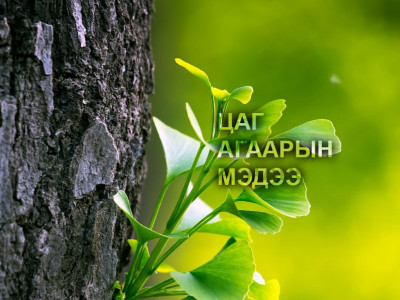 Улаанбаатарт өдөртөө 11 хэм дулаан