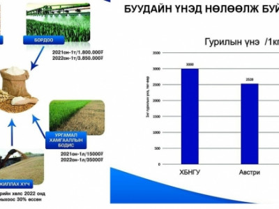 Засгийн газар гурилын үнийг барьж чадсангүй 