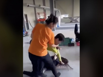ЭСЯ: Монгол эмэгтэй бусдын хүчирхийлэлд өртсөн хэрэгт БНСУ-ын цагдаагийн байгууллагатай холбогдон ажиллаж байна 