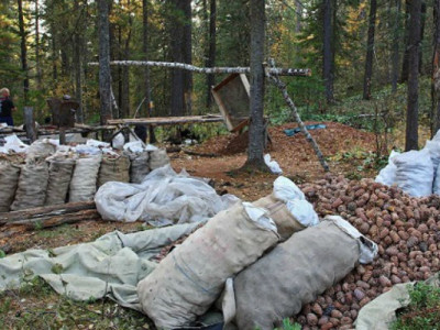Самарт яваад сураггүй болсон иргэнийг 20 гаруй хоног эрэн хайсаар байгаа 
