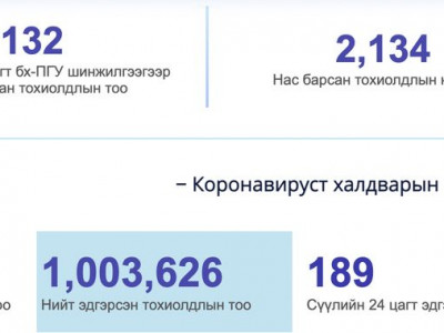 Сүүлийн 24 цагт 132 тохиолдол батлагдлаа