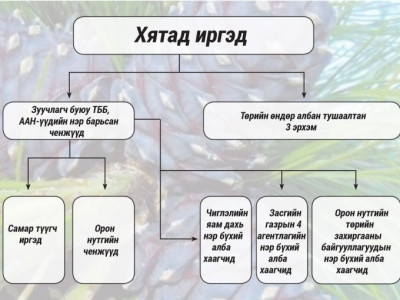 Хятад удирдлагатай самрын сүлжээ Монголд мөнгө угаадаг уу?! 