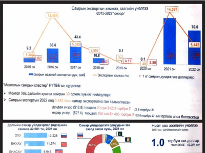 Самрын сүлжээнд “самруулж” буй Монголын эдийн засаг-1