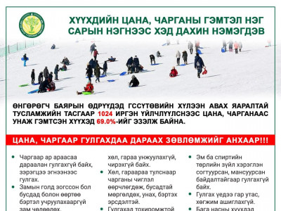Шинэ жилийн баярын өдрүүдэд 700 орчим хүүхэд цана, чарганаас унаж гэмтжээ