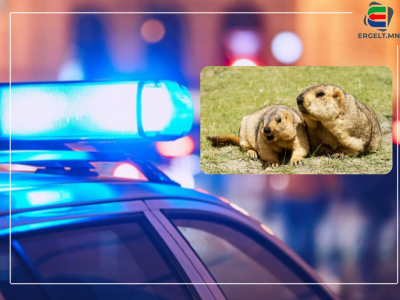 ТАРВАГАН ТАХЛААР ӨВДӨЖ, ЭМНЭЛГИЙН ӨРӨӨНД АМИА ЕГҮҮТГЭСЭН С-ИЙН ЭГЧ: Дүүд минь тусламж үзүүлээгүй эмч нарын зөв, хүнээ алдсан бидний буруу болж хэрэг хаагдсан