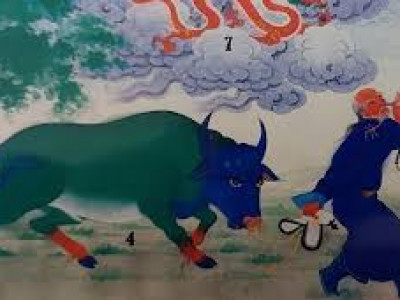 Усан туулай жилийн өнгө зурхайд ингэж буужээ 