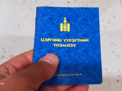 Хөөрхий дөө, муусайн эрчүүд...
